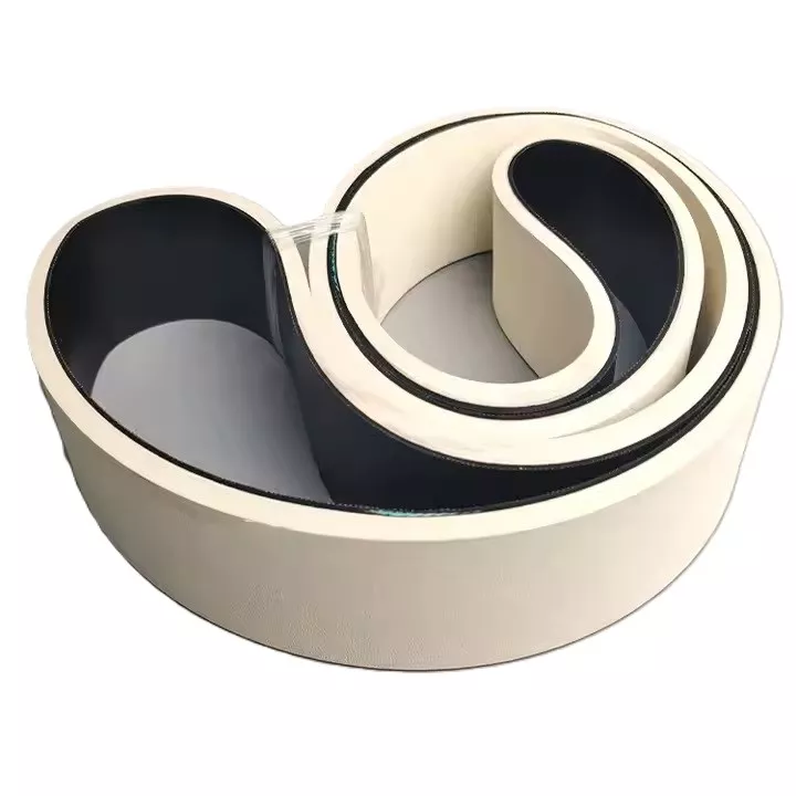 Cintur&oacute;n de alimentaci&oacute;n verdaderamente sin extremo para alimentaci&oacute;n en papel