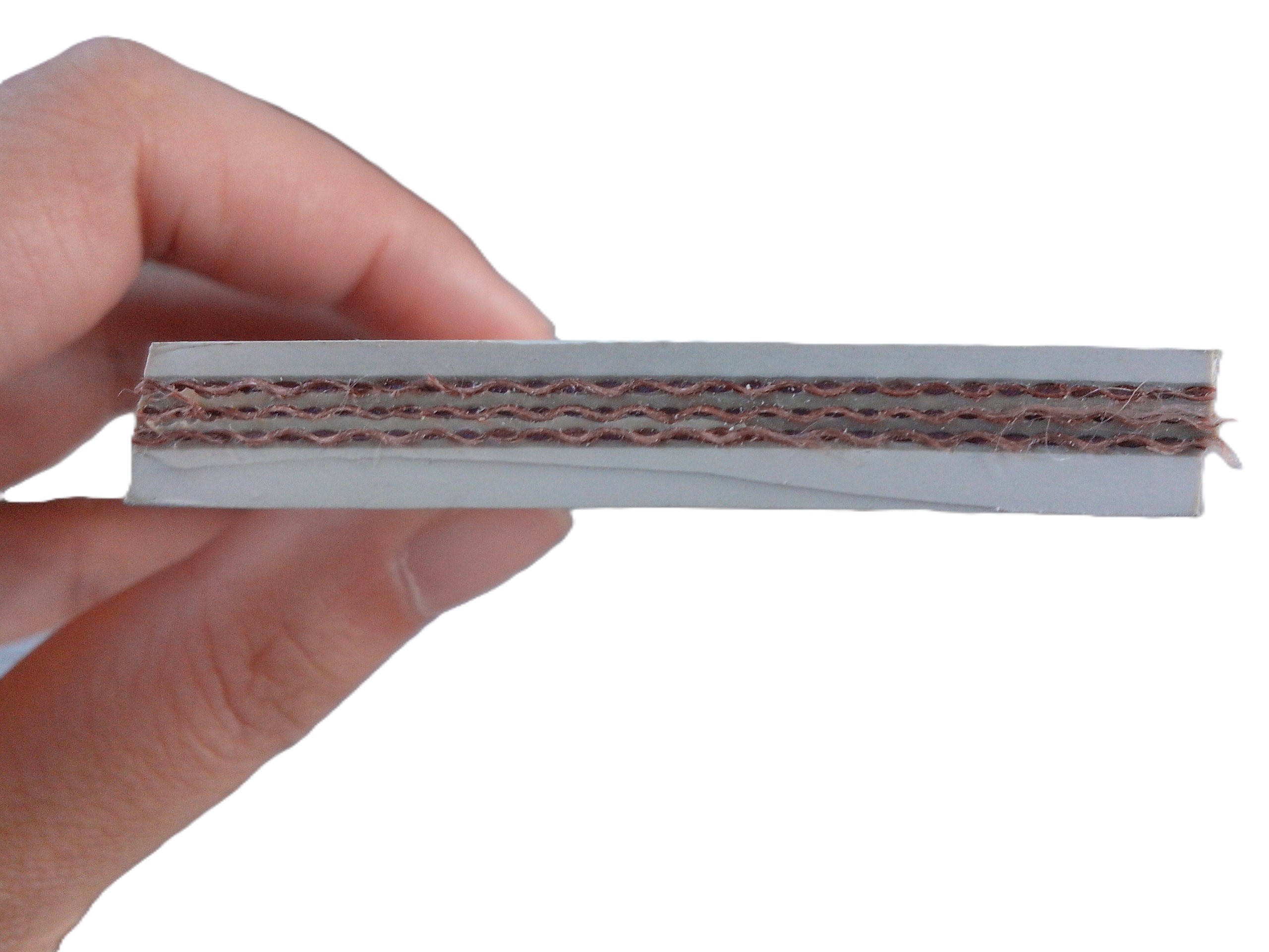 Cinda transportadora de grado alimenticio-2