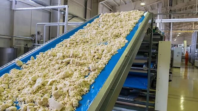 ¿Cuál es la diferencia entre las cintas transportadoras de PVC y las cintas transportadoras de PU?