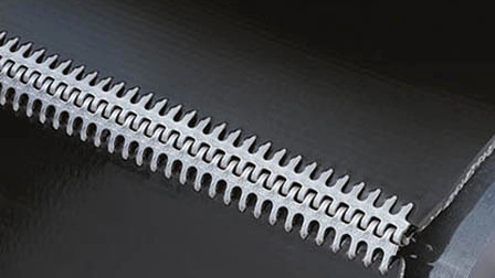 Alligator Lacing_448_252.jpg