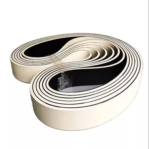 Cintur&oacute;n de alimentaci&oacute;n verdaderamente sin extremo para alimentaci&oacute;n en papel