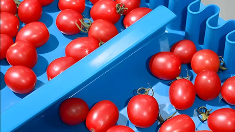 Food Industry_600_337.jpg